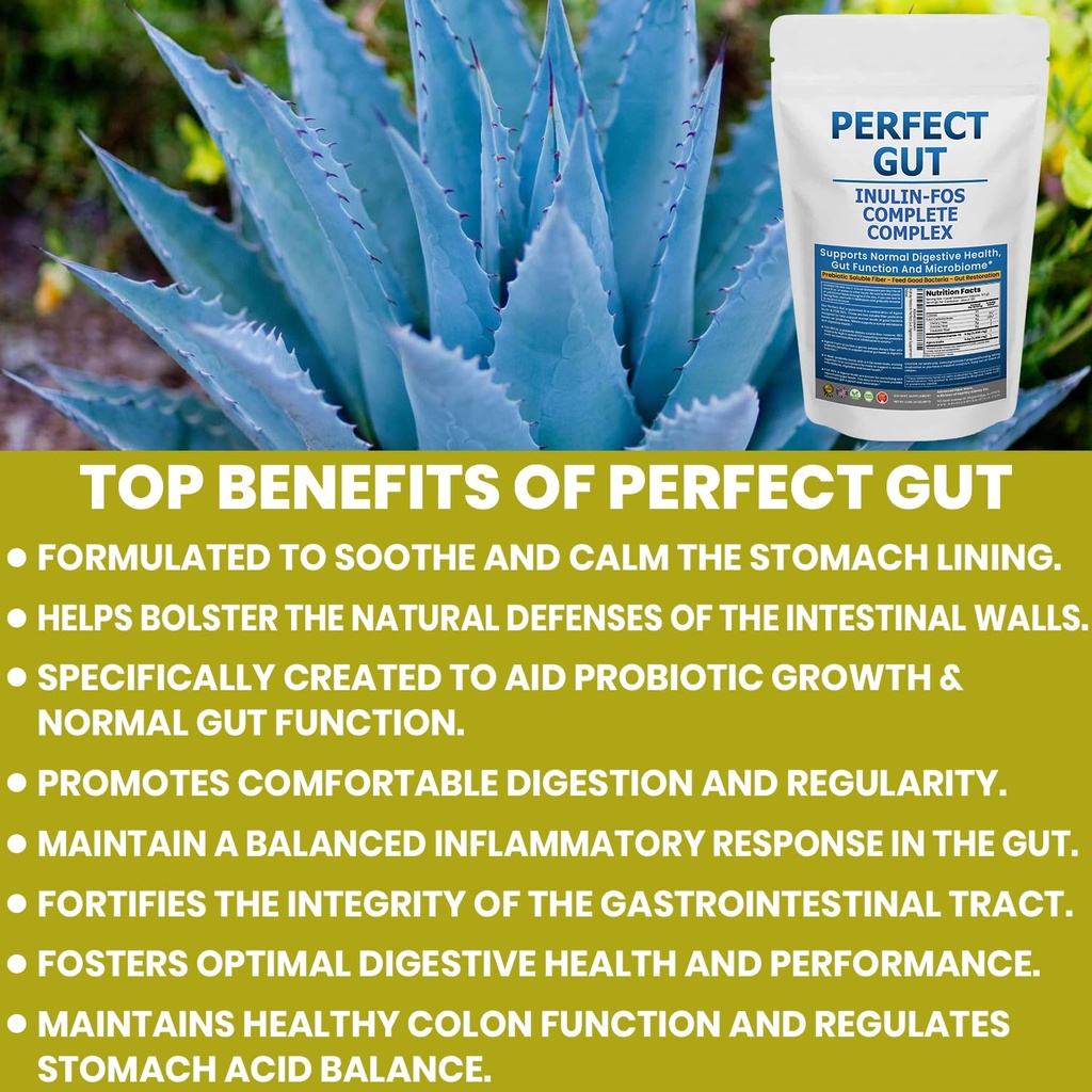 kidney-restore-perfect-gut-inulin-fos-po-3.jpg