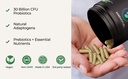 gut-brain-synergy-probiotic-nootropic-30-6.jpg