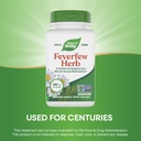 nature-s-way-feverfew-herb-traditional-s-4.jpg