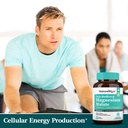 magnesium-malate-chelated-form-highly-ab-4.jpg