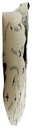 alice-mushrooms-brainstorm-mushroom-choc-4.jpg