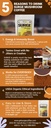 surge-5-mushroom-cocoa-drink-reishi-mait-3.jpg
