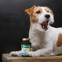 petnc-natural-care-brewers-yeast-dog-ski-5.jpg