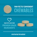 petnc-natural-care-brewers-yeast-dog-ski-3.jpg