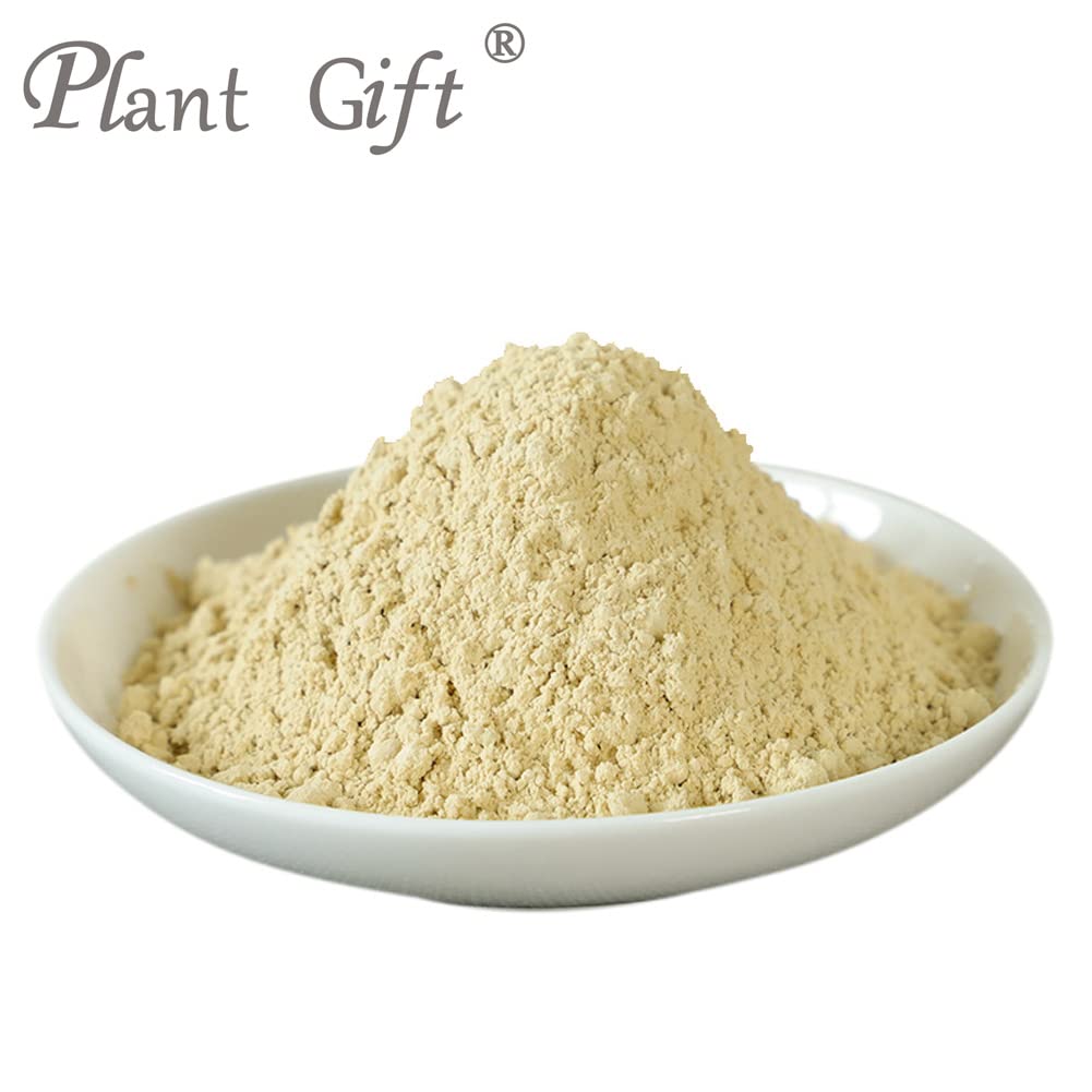 plant-gift-100-pure-hericium-erinaceus-p-2.jpg