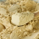 plant-gift-100-pure-hericium-erinaceus-p-3.jpg