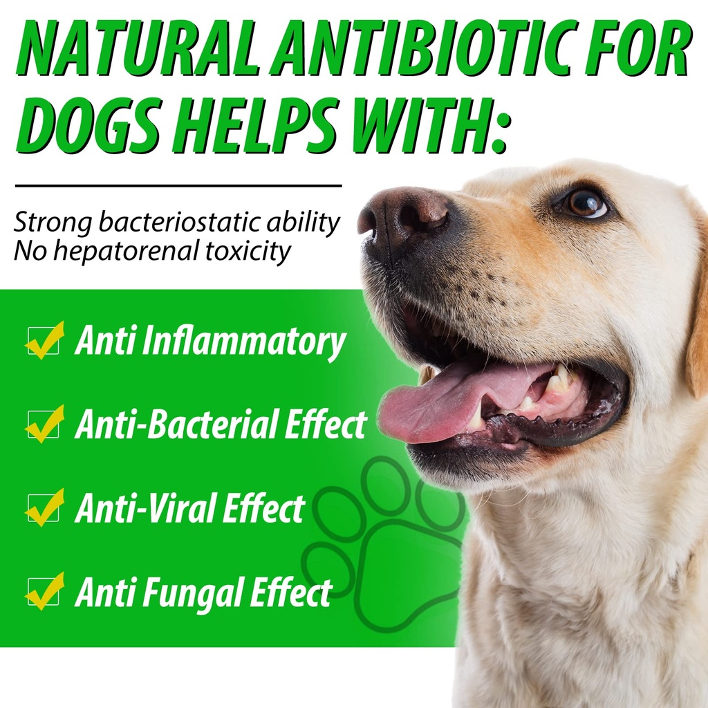 nenmaokenu-antibiotics-for-dogs-natural--6.jpg