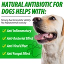 nenmaokenu-antibiotics-for-dogs-natural--6.jpg