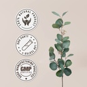 prickly-ash-alcohol-free-natural-tinctur-4.jpg