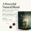 fantastic-fungi-organic-mushroom-gummies-4.jpg