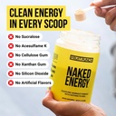 naked-vegan-energizing-muscle-recovery-b-6.jpg