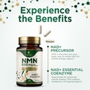 nmn-supplement-nicotinamide-mononucleoti-5.jpg