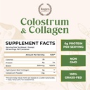 grass-fed-colostrum-collagen-powder-gut--2.jpg
