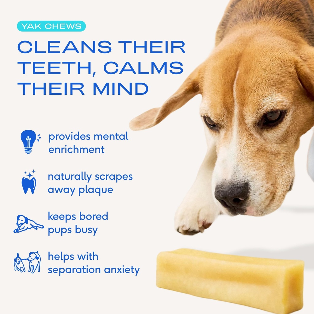 native-pet-health-wellness-bundle-3-larg-2.jpg