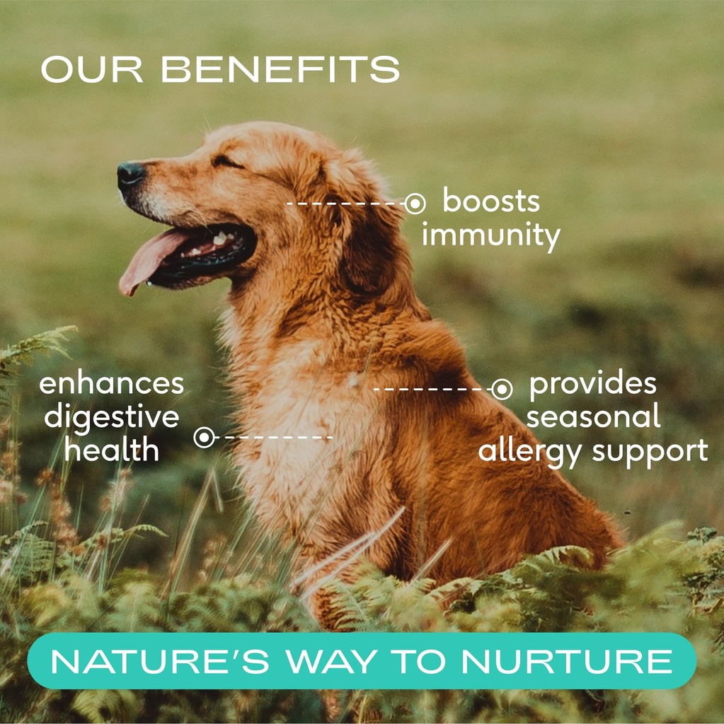 native-pet-pup-power-up-bundle-colostrum-2.jpg