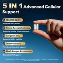 migcopat-magnesium-complex-nmn-supplemen-3.jpg