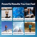 migcopat-mens-multivitamins-gummies-nmn--4.jpg