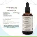 herbera-hydrangea-b120-alcohol-free-herb-3.jpg