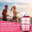 2-pack-liposomal-alpha-lipoic-acid-gummi-5.jpg
