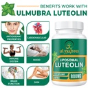 ulmubra-800mg-liposomal-luteolin-supplem-4.jpg