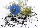 black-seed-bitters-with-moringa-3-x-16-o-3.jpg