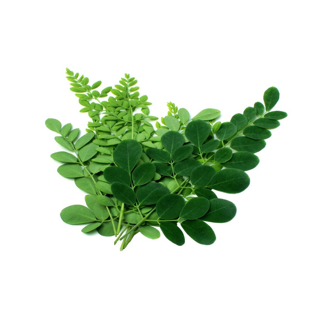 black-seed-bitters-with-moringa-3-x-16-o-4.jpg
