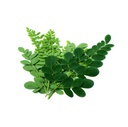 black-seed-bitters-with-moringa-3-x-16-o-4.jpg