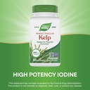 nature-s-way-kelp-600-mg-non-gmo-project-4.jpg