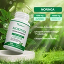 moringa-capsules-natural-antioxidant-sup-5.jpg