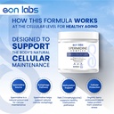 spermidine-supplements-for-men-and-women-2.jpg
