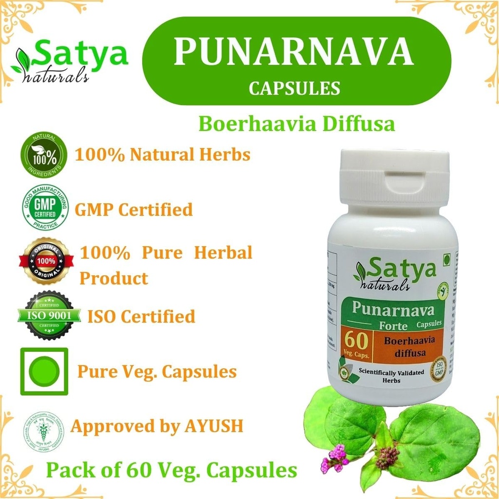 punarnava-forte-capsule-500-mg-60-veg-ca-5.jpg