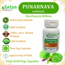 punarnava-forte-capsule-500-mg-60-veg-ca-5.jpg