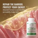 adaptoheal-intestinal-support-adaptogeni-6.jpg