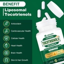 1200mg-vitamin-e-tocotrienols-liposomal--4.jpg