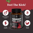 bundle-of-pre-conception-male-fertility--5.jpg