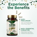 nmn-supplement-nicotinamide-mononucleoti-5.jpg