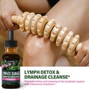 cleavers-herb-extract-lymphatic-drainage-2.jpg