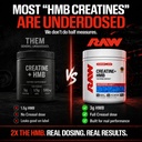 raw-creatine-plus-hmb-blue-raspberry-cre-3.jpg