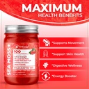 sea-moss-gel-wildcrafted-seamoss-gel-sup-5.jpg