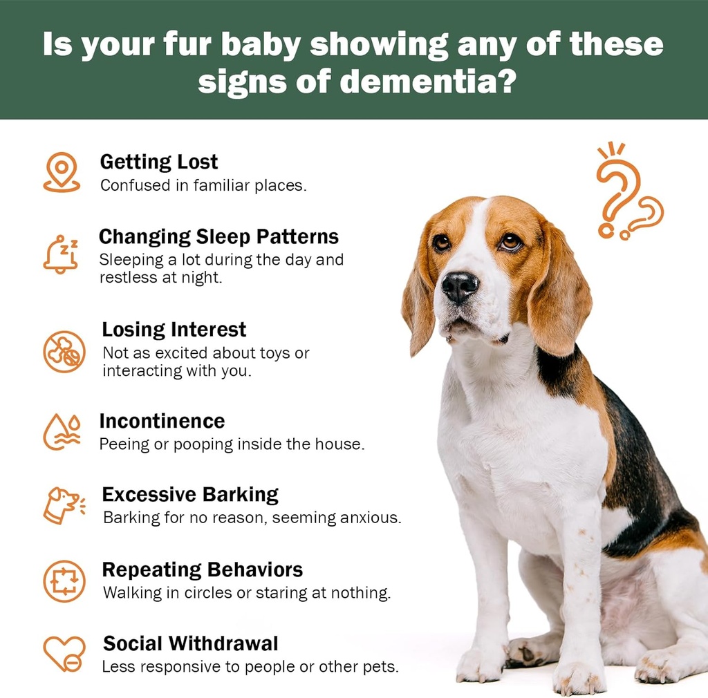 senior-dog-supplements-dog-dementia-supp-3.jpg