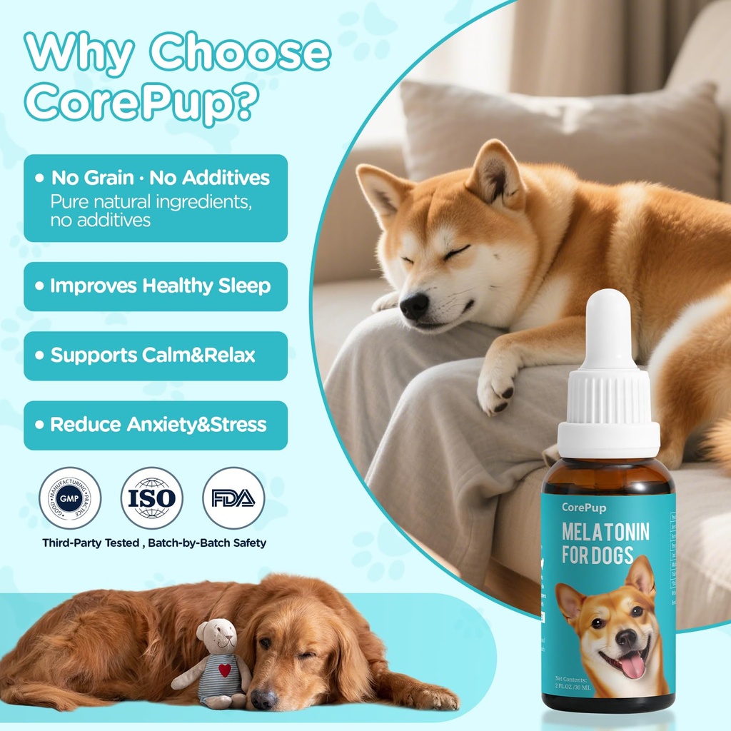 melatonin-for-dogs-dog-sleep-aid-anxiety-4.jpg
