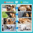 melatonin-for-dogs-dog-sleep-aid-anxiety-5.jpg
