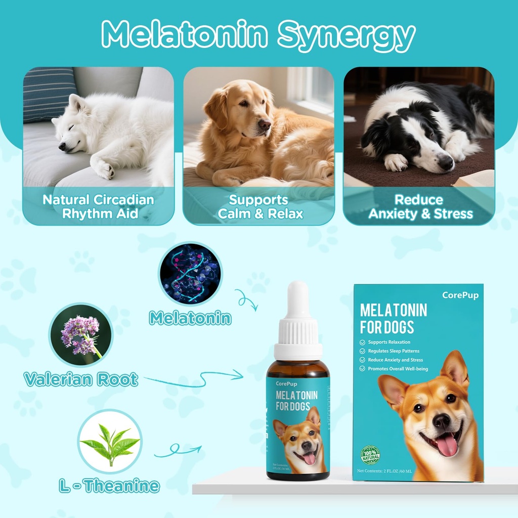 melatonin-for-dogs-dog-sleep-aid-anxiety-3.jpg