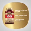 piping-rock-superoxide-dismutase-sod-300-4.jpg