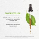 secrets-of-the-tribe-gymnema-tincture-al-3.jpg