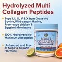multi-collagen-peptides-powder-pure-mori-4.jpg