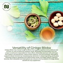 nootropics-depot-ginkgo-biloba-extract-t-4.jpg