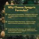 wild-harvested-pine-pollen-tincture-cell-4.jpg