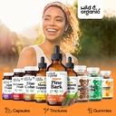 wild-organic-pine-bark-drops-antioxidant-5.jpg