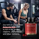 antarctic-krill-oil-500-mg-phospholipid--2.jpg